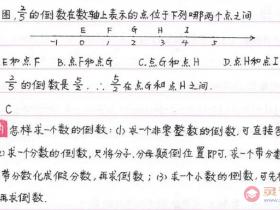 初中数学知识点总结七年级1.9:倒数和负倒数