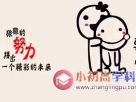 初中数学知识点总结八年级6.5:二次根式的加减