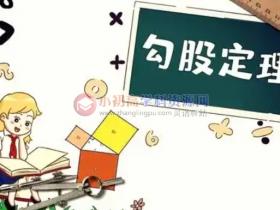 初中数学知识点总结八年级7.4:互逆命题与逆定理