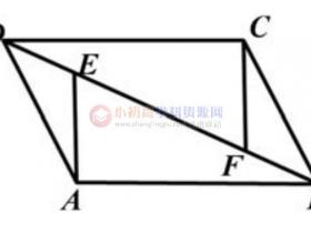 初中数学题库八年级8.1.5:与平形四边形对角线有关的线段的数量及其位置关系