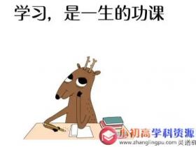 初中数学题库2.11:有一列数,按一定规律排列,求其中的一个数