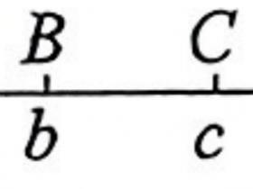 初中数学七年级易错母题009:认识有理数之拓展练(数学思想)