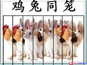 小学数学知识点总结:应用题鸡兔同笼问题