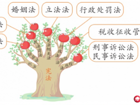 小学六年级上册道德与法制:教材三道简答题目解读