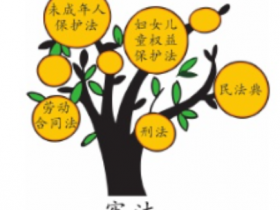 小学六年级上册道德与法制:第二单元:宪法选择题和判断题