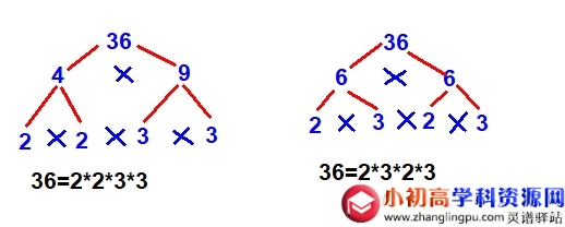 小学数学知识点总结2.5：分解质因数的塔式分解法和短除法-图片1