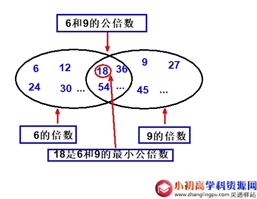 小学数学知识点总结2.8：公倍数和最小公倍数的定义以及求法