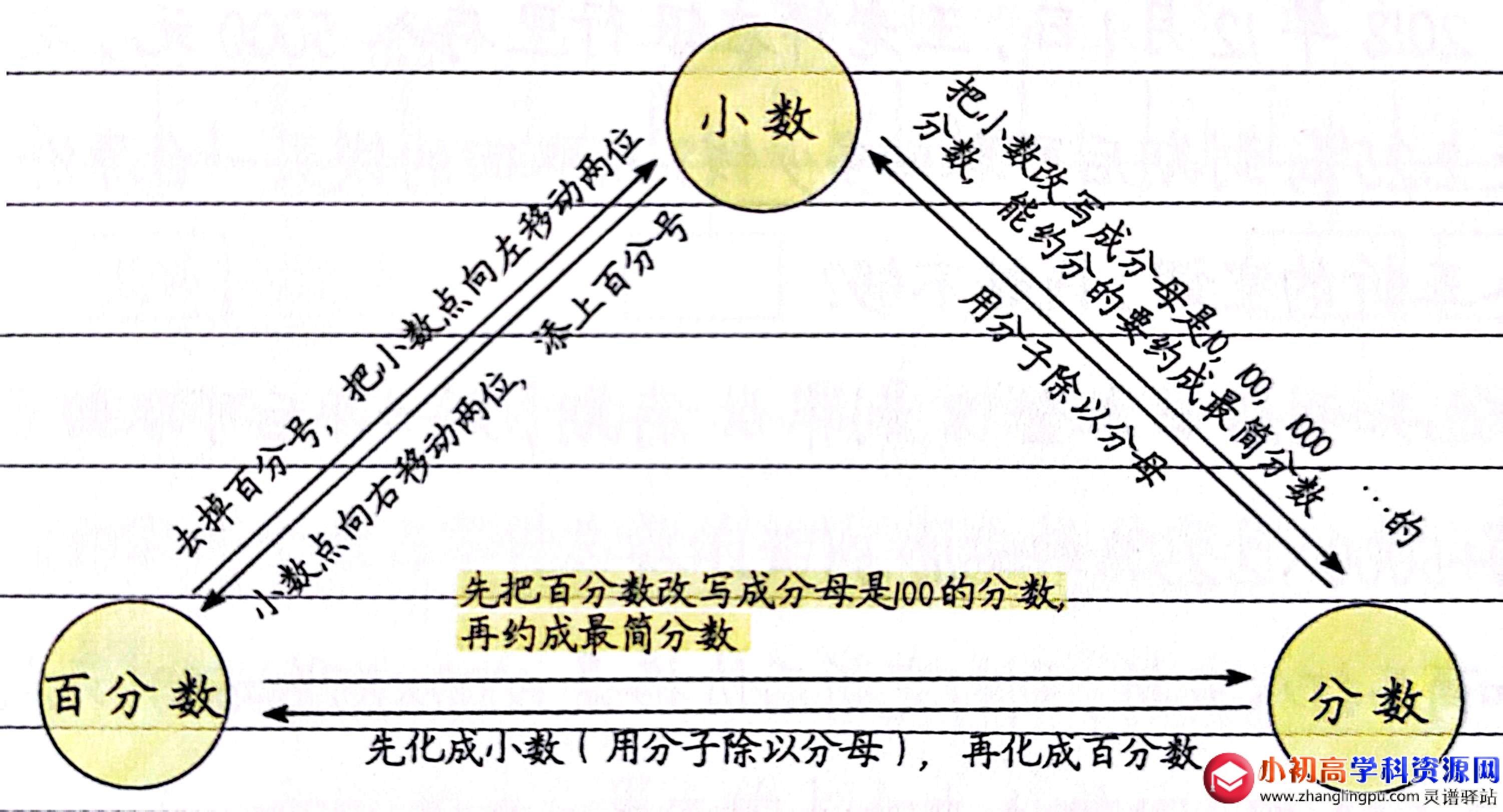 小学数学知识点总结1.24：百分数与分数，小数的互化