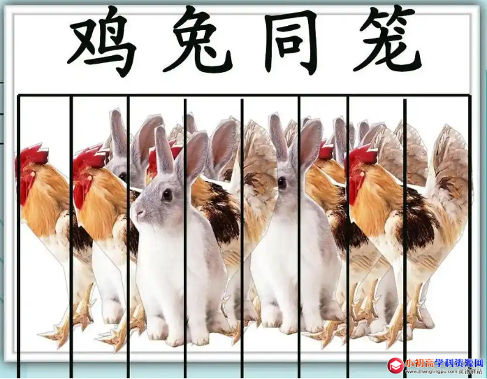 小学数学知识点总结：应用题鸡兔同笼问题