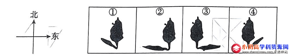 初中九年级数学易错母题:平行投影的特征例题解析