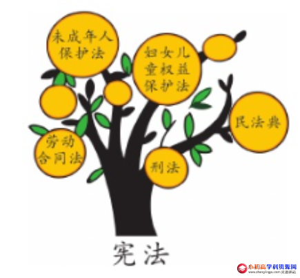 小学六年级上册道德与法制:第二单元:宪法选择题和判断题